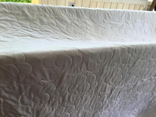 Back of ECU Popcorn Quilting